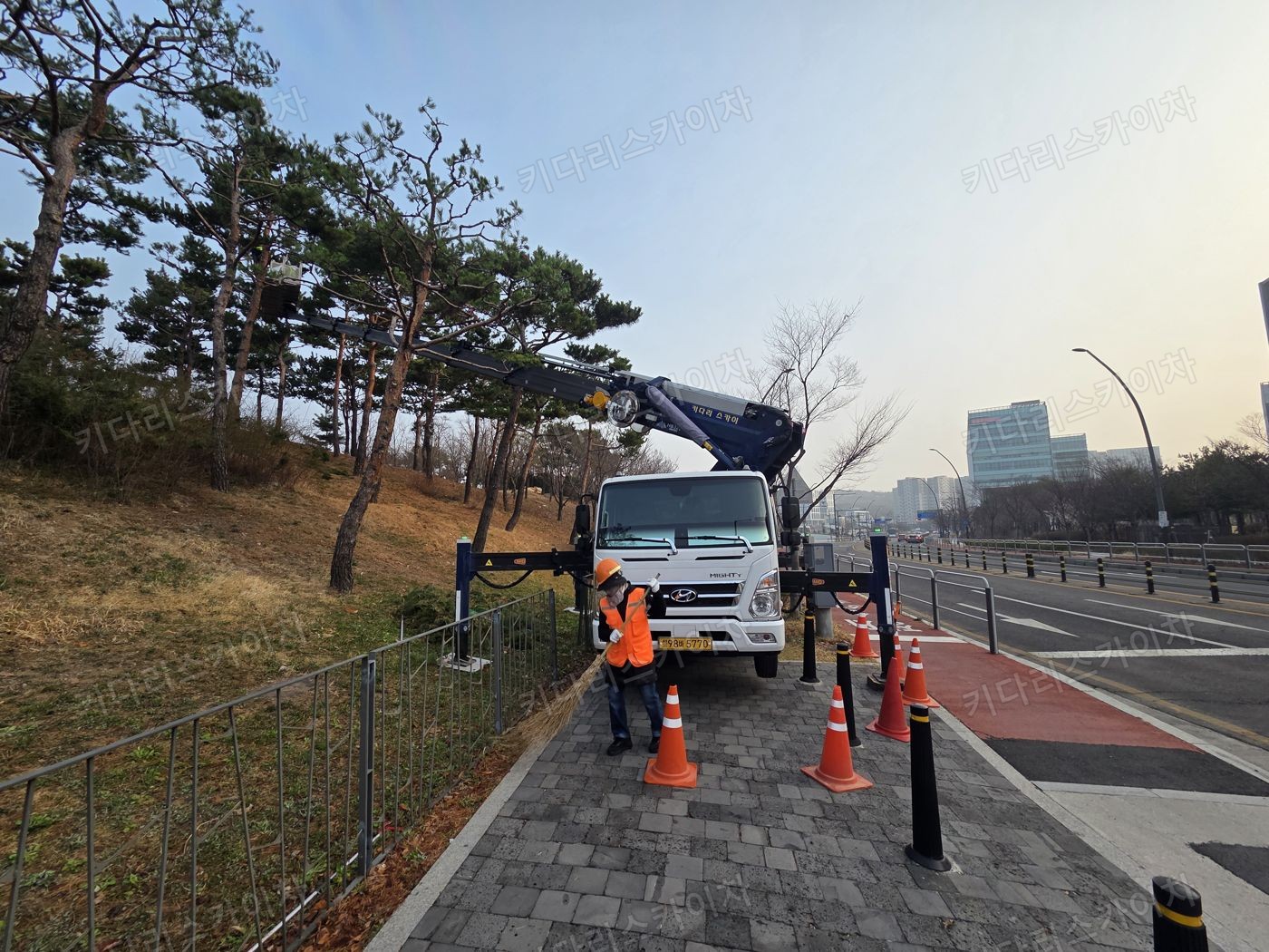 수목 주변 도로의 스카이차 배치